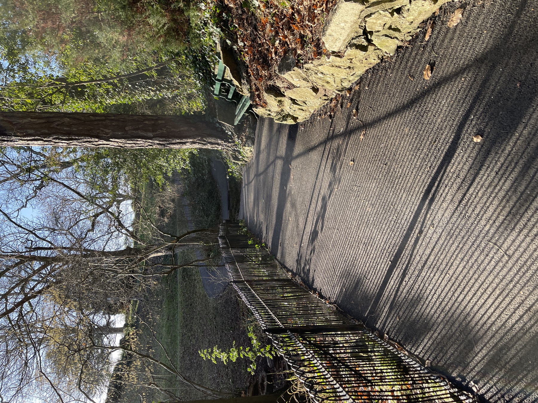 Graphite drawing inspired by Alexandra Park Penarth