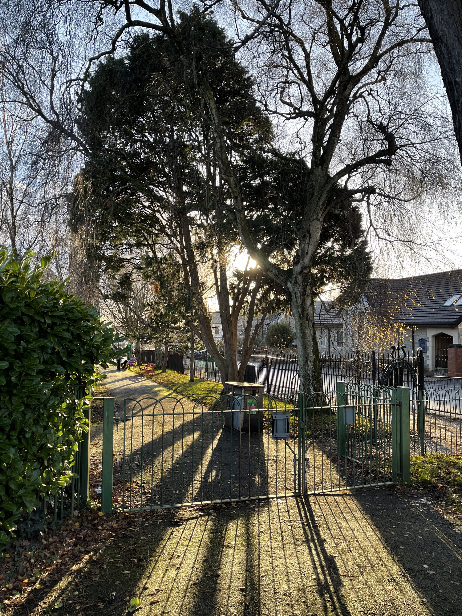 The green gates and railings of Belle Vue Park in low winter sun