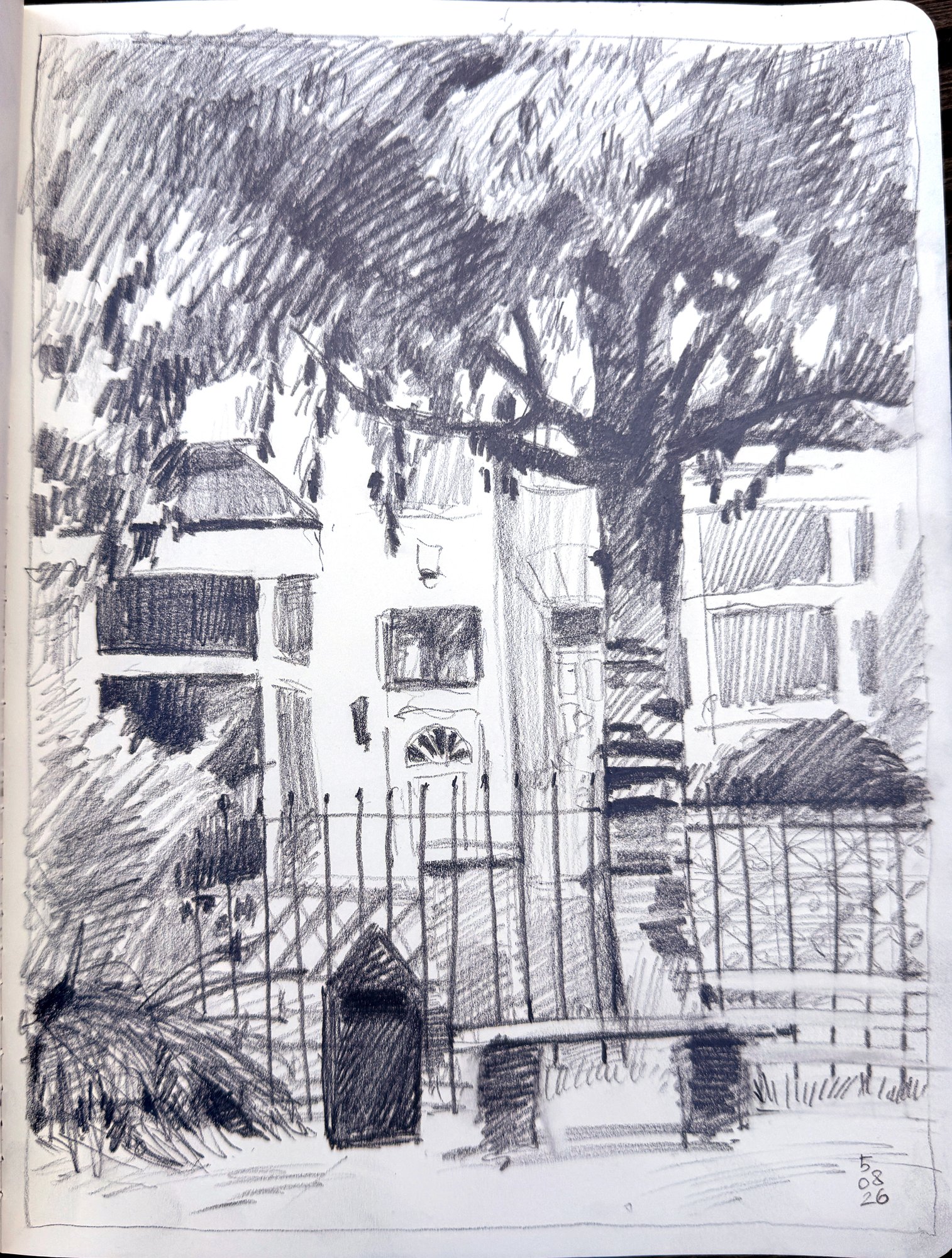 Sketchbook drawing of a big tree over the railings of Belle Vue Park
