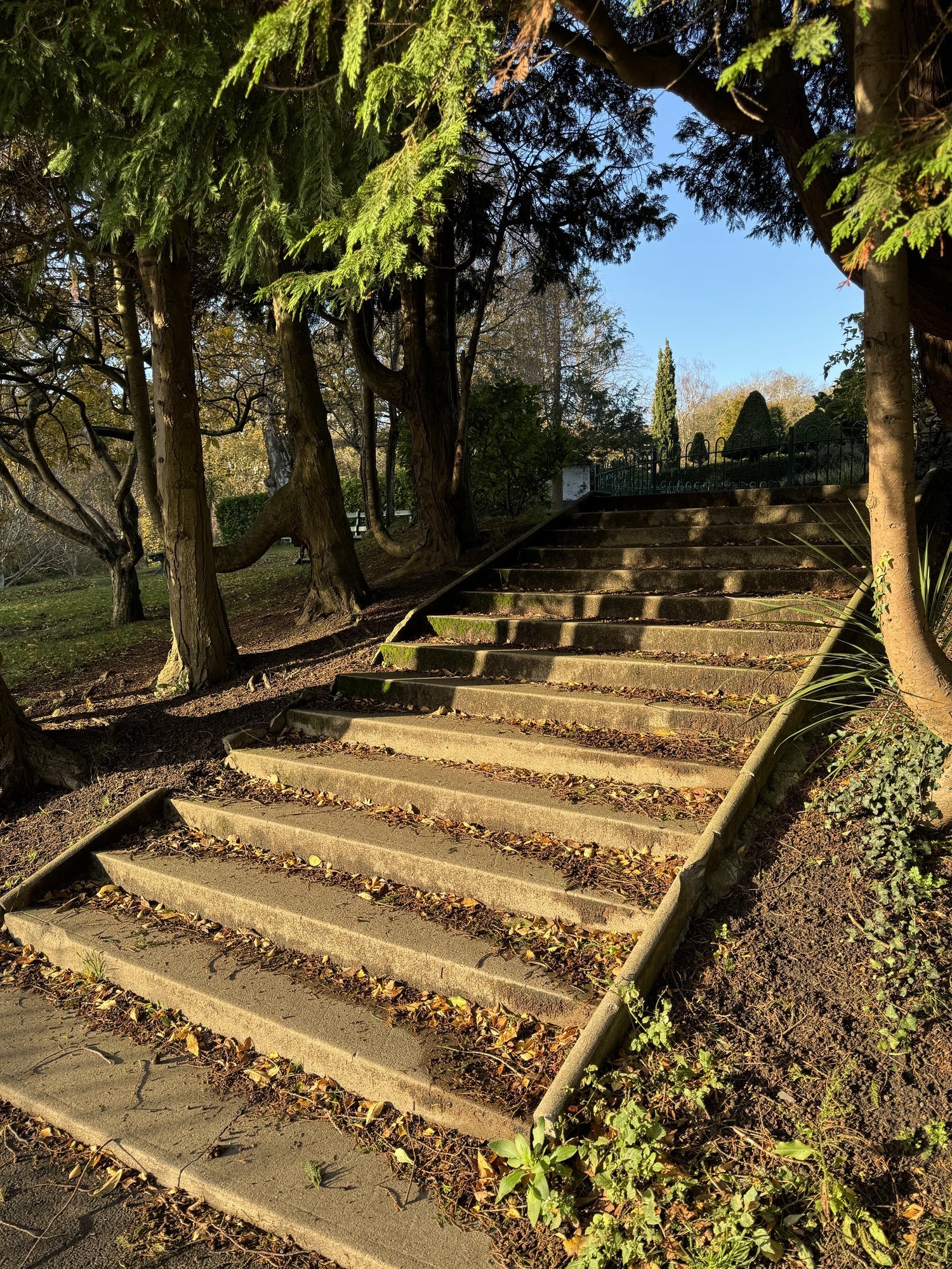 Sunlit stone steps beneath mature trees in Alexandra Park, Penarth