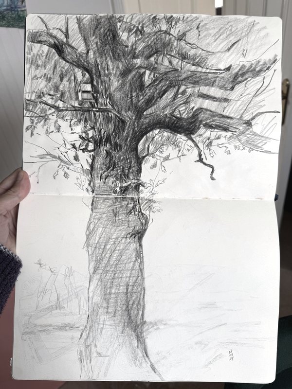The old tree, graphite in a sketchbook by Ksenia Kudelkina