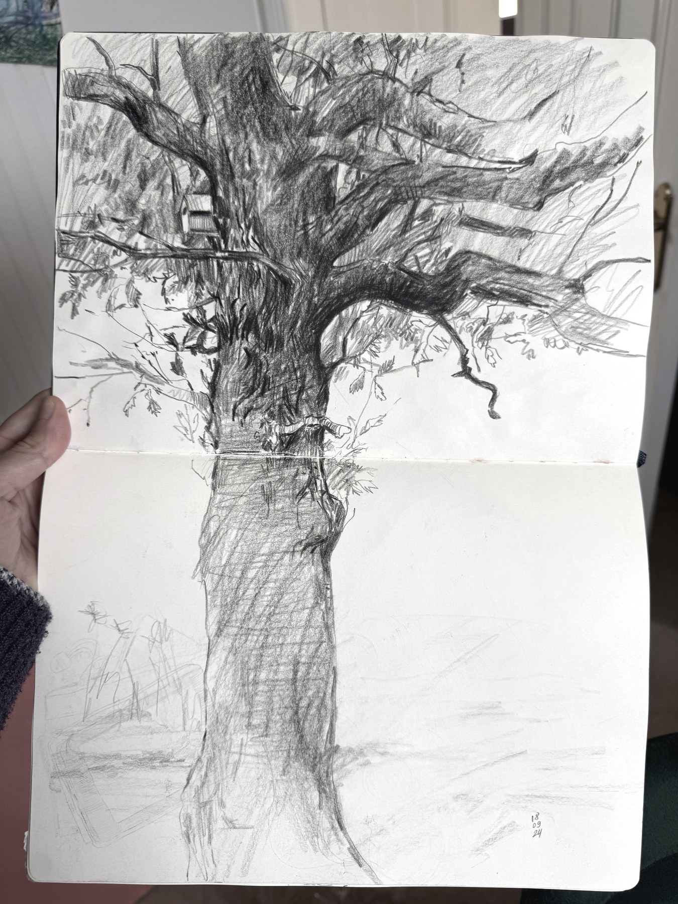 The old tree, graphite in a sketchbook by Ksenia Kudelkina